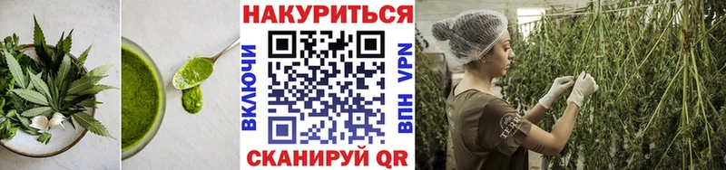 Cannafood конопля  Шенкурск 