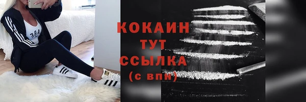ПСИЛОЦИБИНОВЫЕ ГРИБЫ Абаза