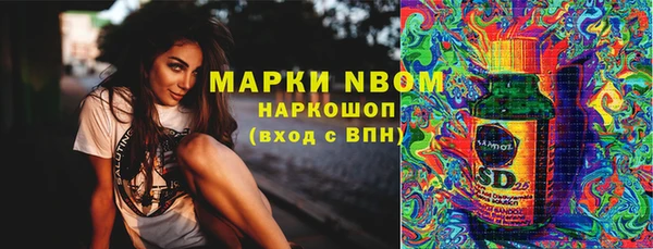ПСИЛОЦИБИНОВЫЕ ГРИБЫ Абаза