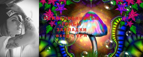 ПСИЛОЦИБИНОВЫЕ ГРИБЫ Абаза