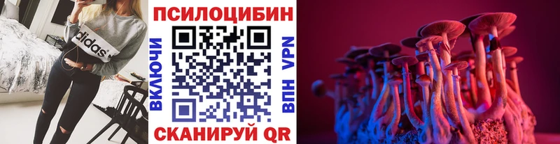 Галлюциногенные грибы Psilocybine cubensis  Шенкурск 